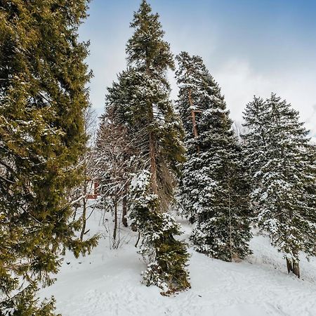 Hotel Dialog Kokhta Bakuriani Exteriér fotografie