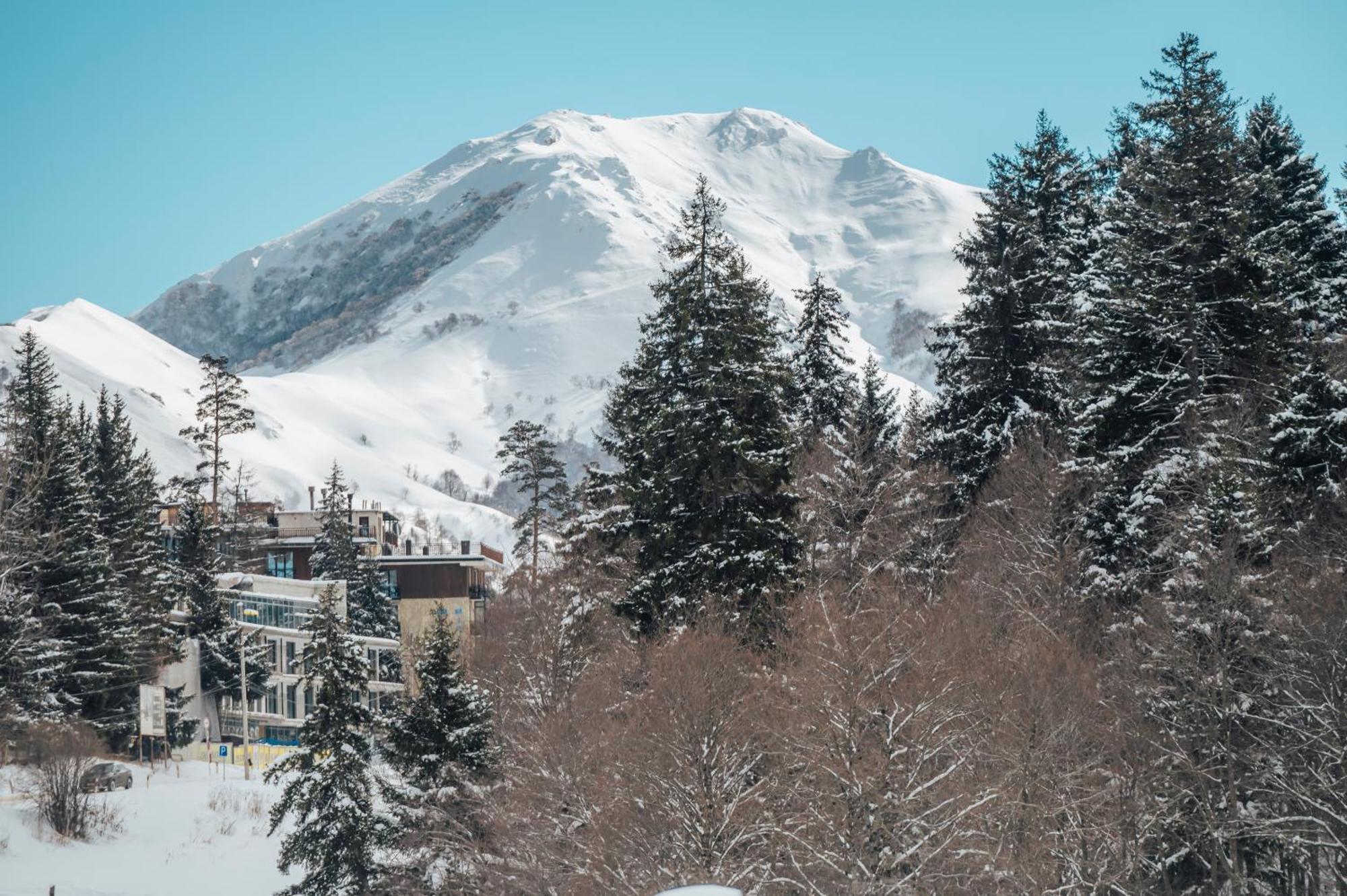 Hotel Dialog Kokhta Bakuriani Exteriér fotografie